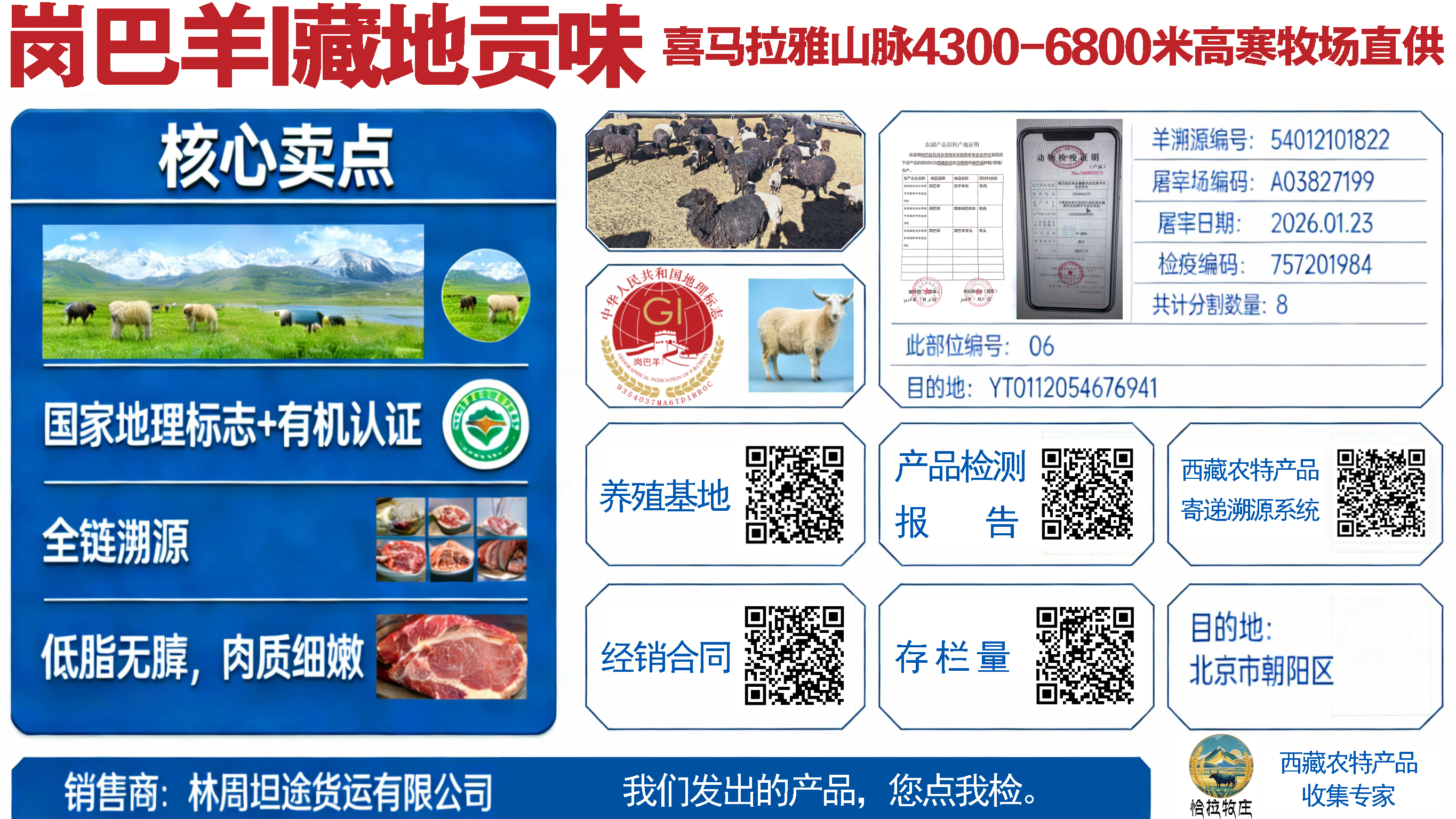 岗巴羊宣传海报